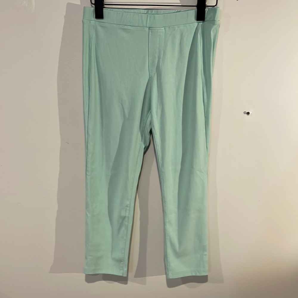 Net Elastic Waist Skinny Cropped Leggings in Sz Medium